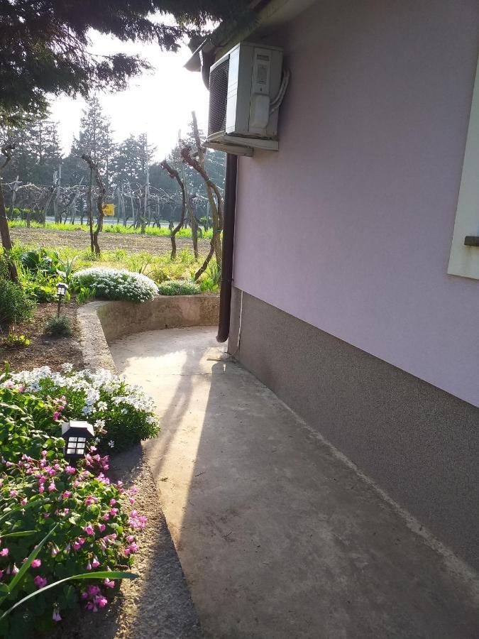 Istra Apartman Koper városi község Kültér fotó